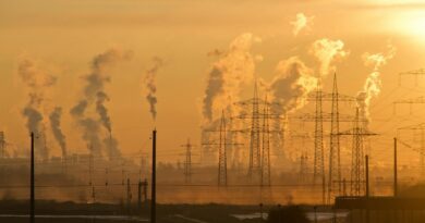 electric towers during golden hour